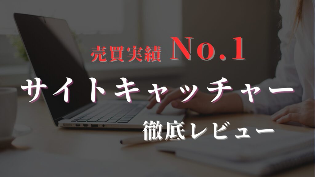 サイトキャッチャー_レビュー